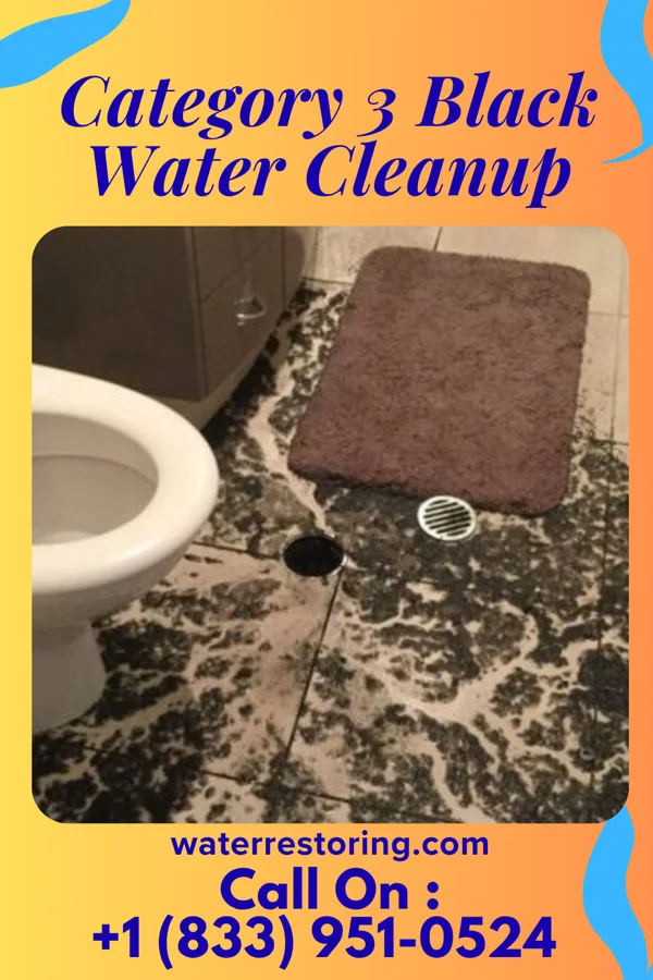 Category 3 Black Water Cleanup in Lawrence, NY