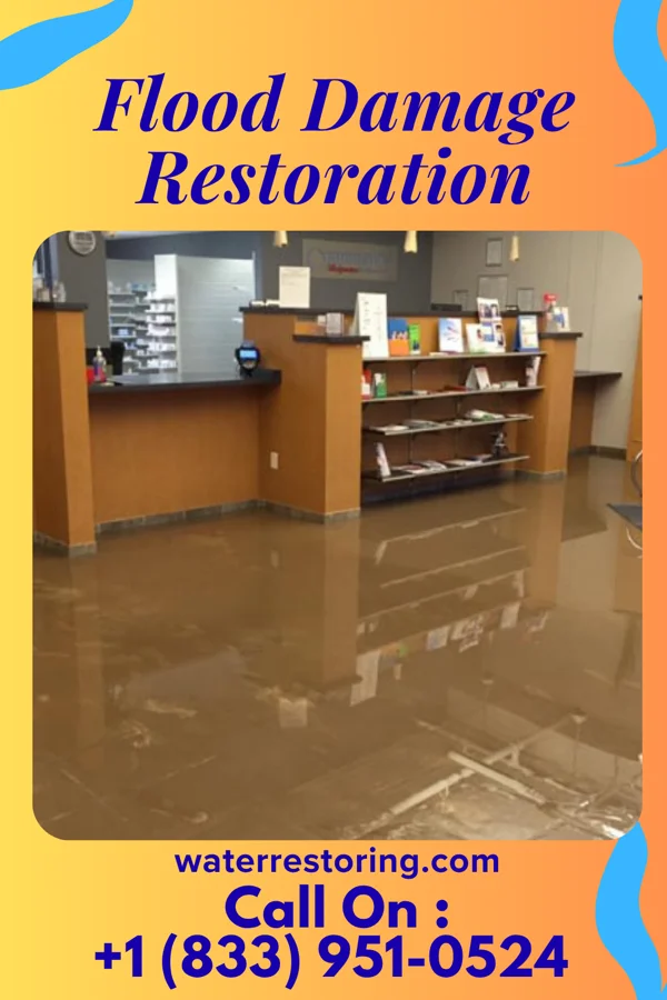 Flood Damage Restoration in Lawrence, NY