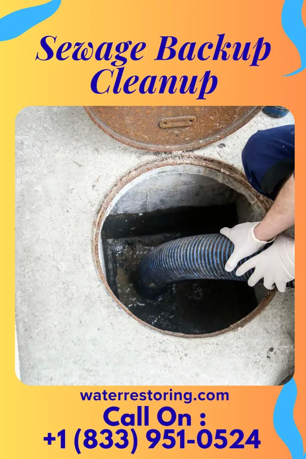 Sewage Backup Cleanup in Lawrence, NY